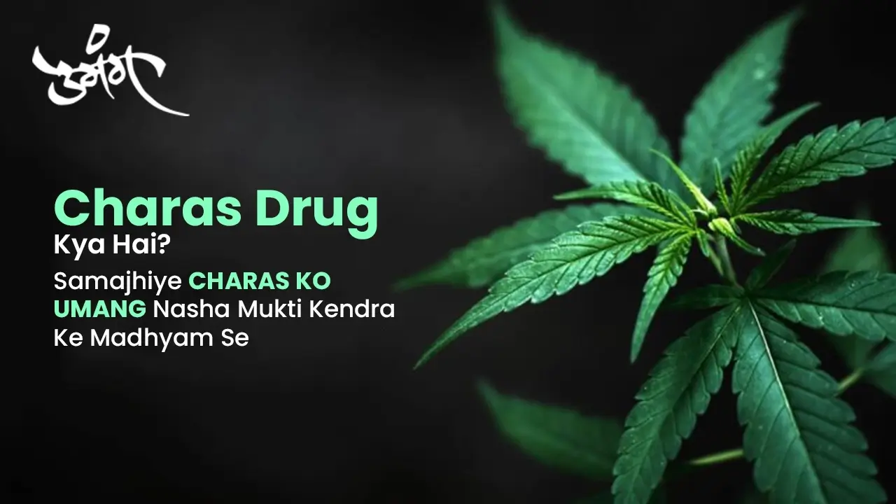 Charas Drug Kya Hai? Samajhiye Charas Ko Umang Nasha Mukti Kendra Ke Madhyam Se